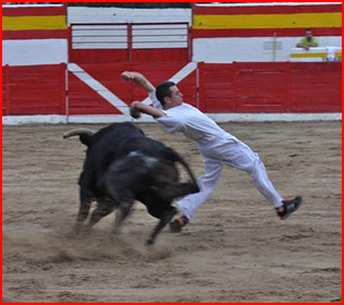 recortadores