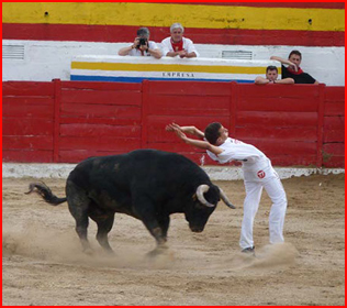 recortadores